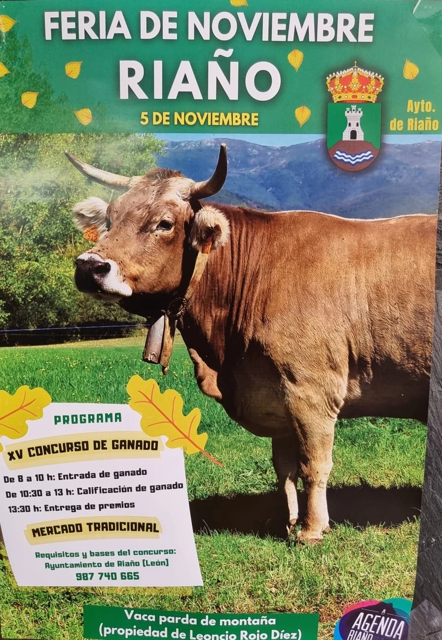 XV Feria ganadera de noviembre en Riaño