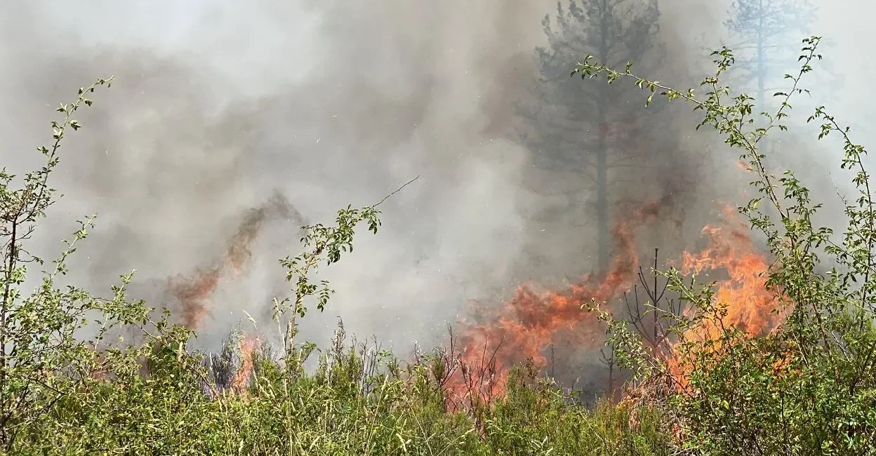 León llora a su voluntario: muere atrapado por el fuego en Nogarejas