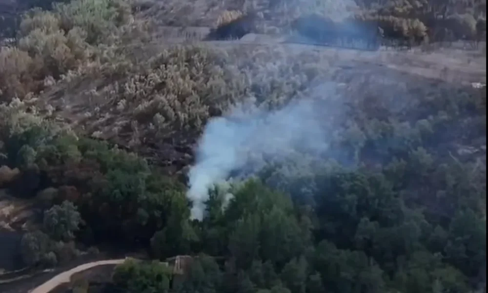 Así ha quedado Riofrío de Aliste tras el incendio