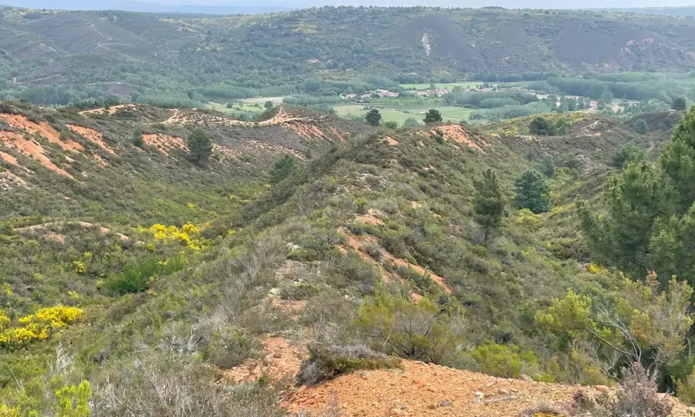 Paisaje desde lo alto