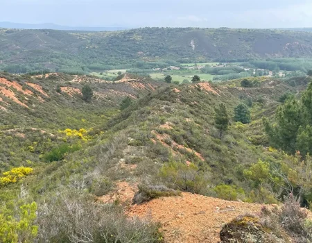 Paisaje desde lo alto