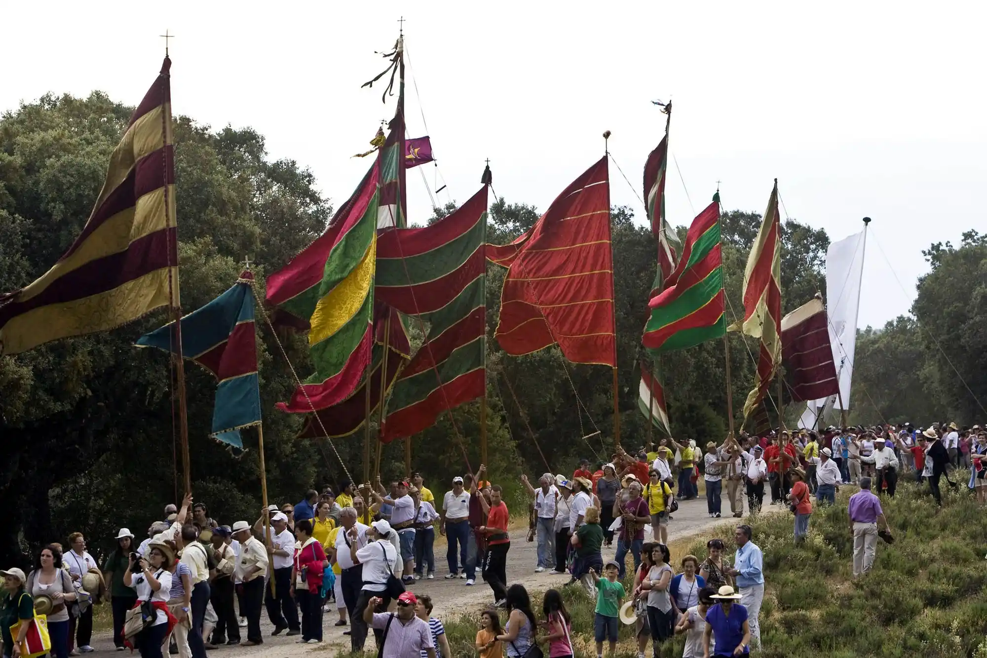 Romería de los Viriatos