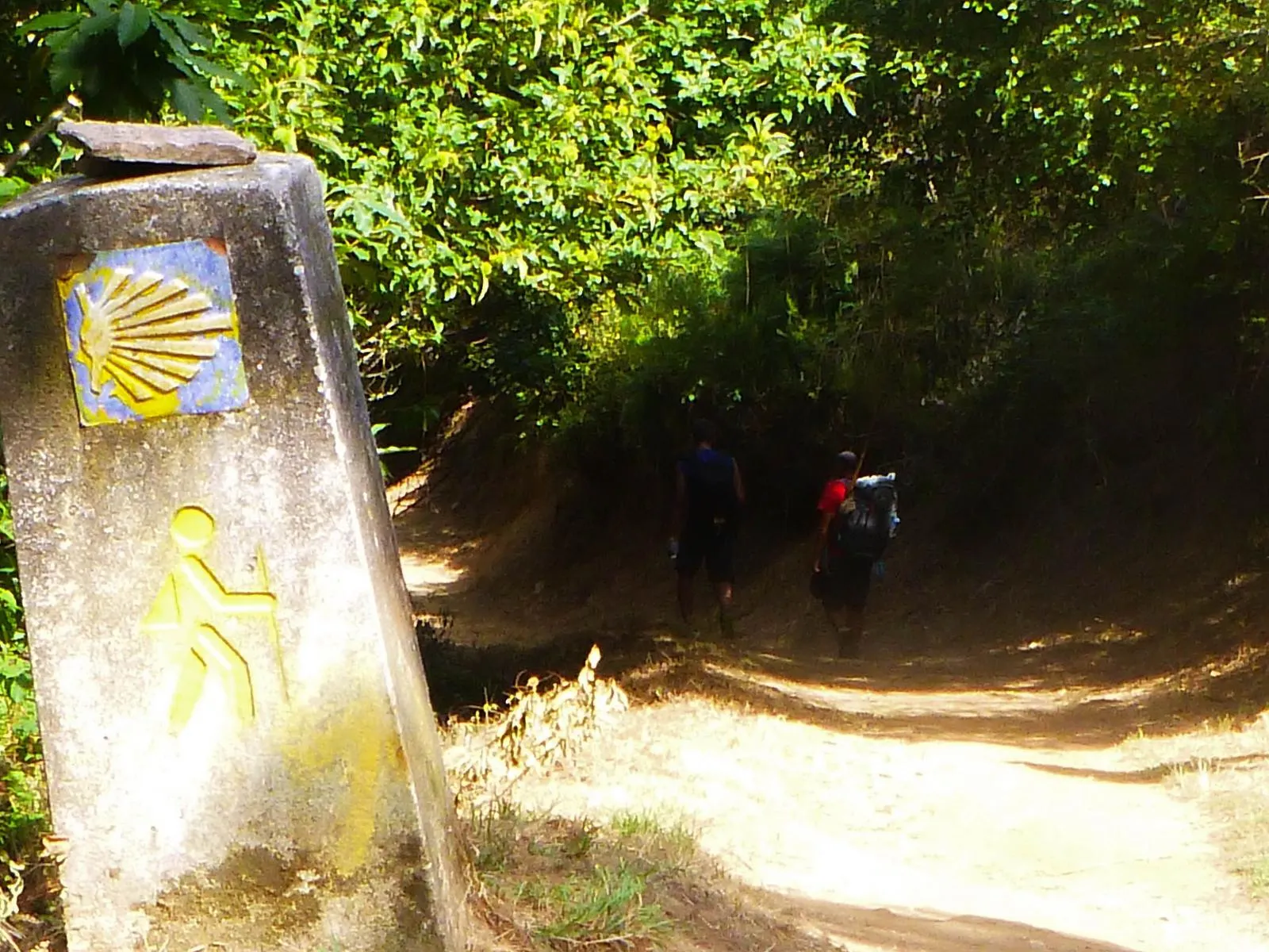 Waymarker with the scallop shell and pilgrims entering the forest