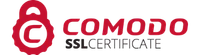 Secure Logo 2