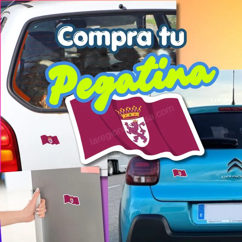 banner pegatina