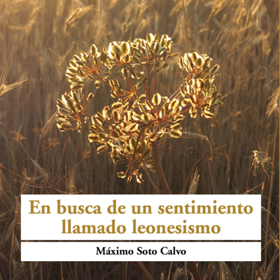 En busca de un sentimiento llamado leonesismo