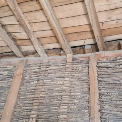 Pendolones y tabiques de rama, cosas de Aliste.