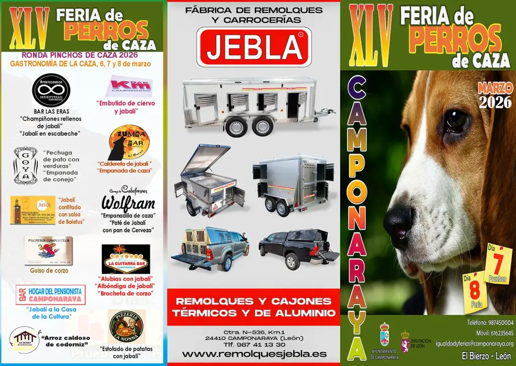 45 Feria de perros de caza de Camponaraya