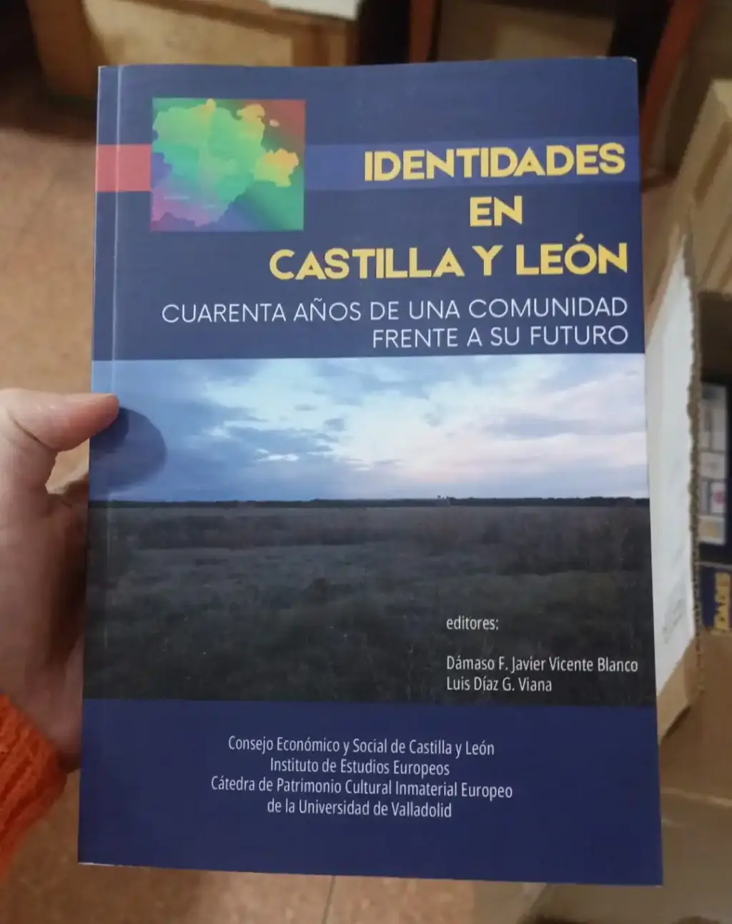 Identidades en Castilla y León. Cuarenta años de una comunidad frente a su futuro