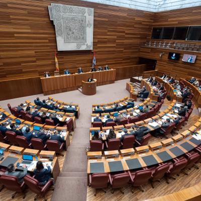 PP, VOX y PSOE vetan el debate sobre la Región Leonesa en las Cortes