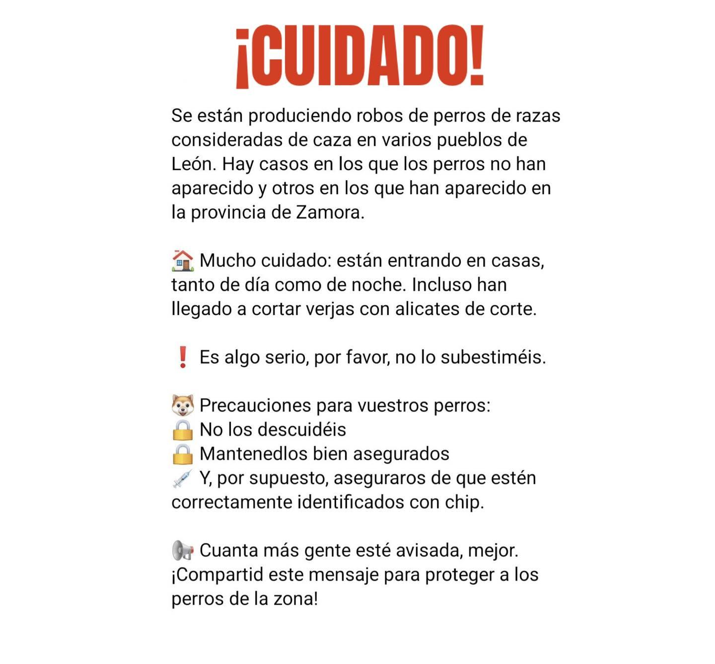 658585904_1367832512053786_2811631536226952815_n