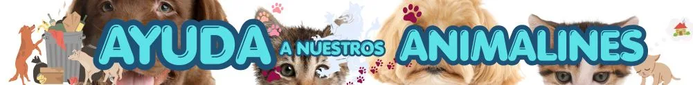 banner-animalines