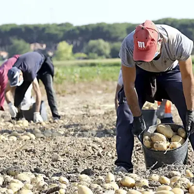 Agricultura en la región leonesa