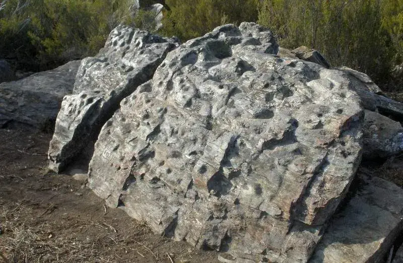 andinuela-petroglifo