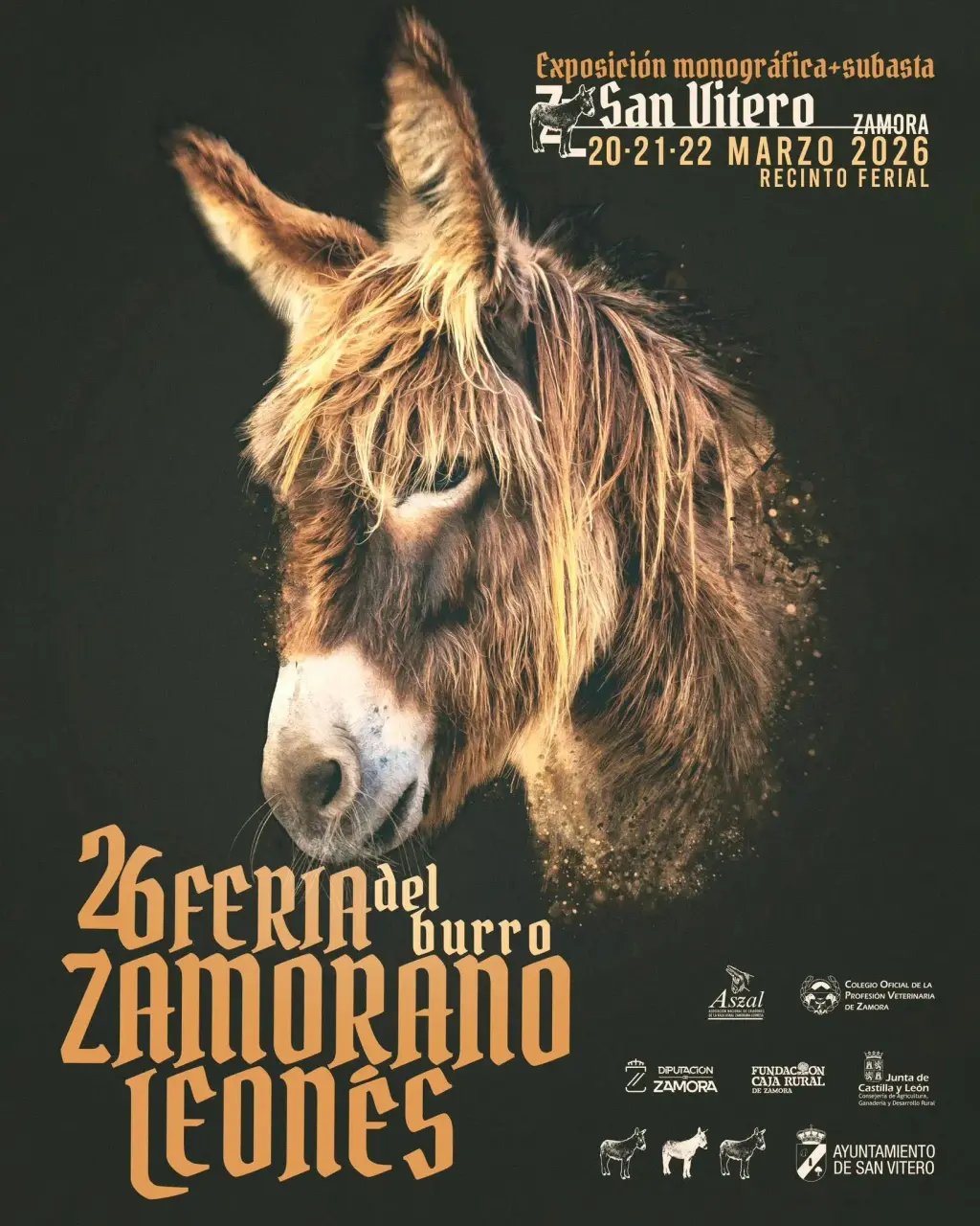 26 Feria del Burro Zamorano-Leonés