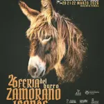 26 Feria del Burro Zamorano-Leonés