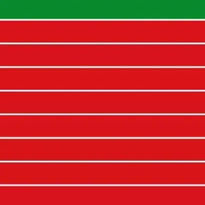 La bandera de Zamora