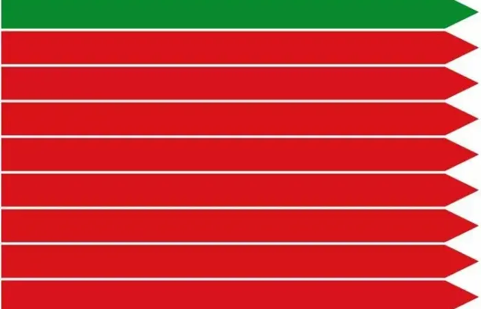 La bandera de Zamora