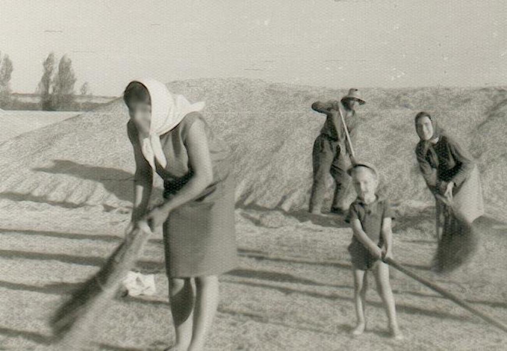 Cuando llega la calor : Tareas del verano