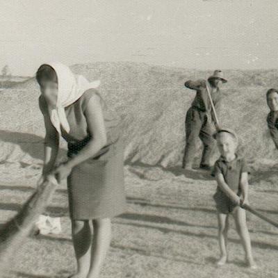 Cuando llega la calor : Tareas del verano