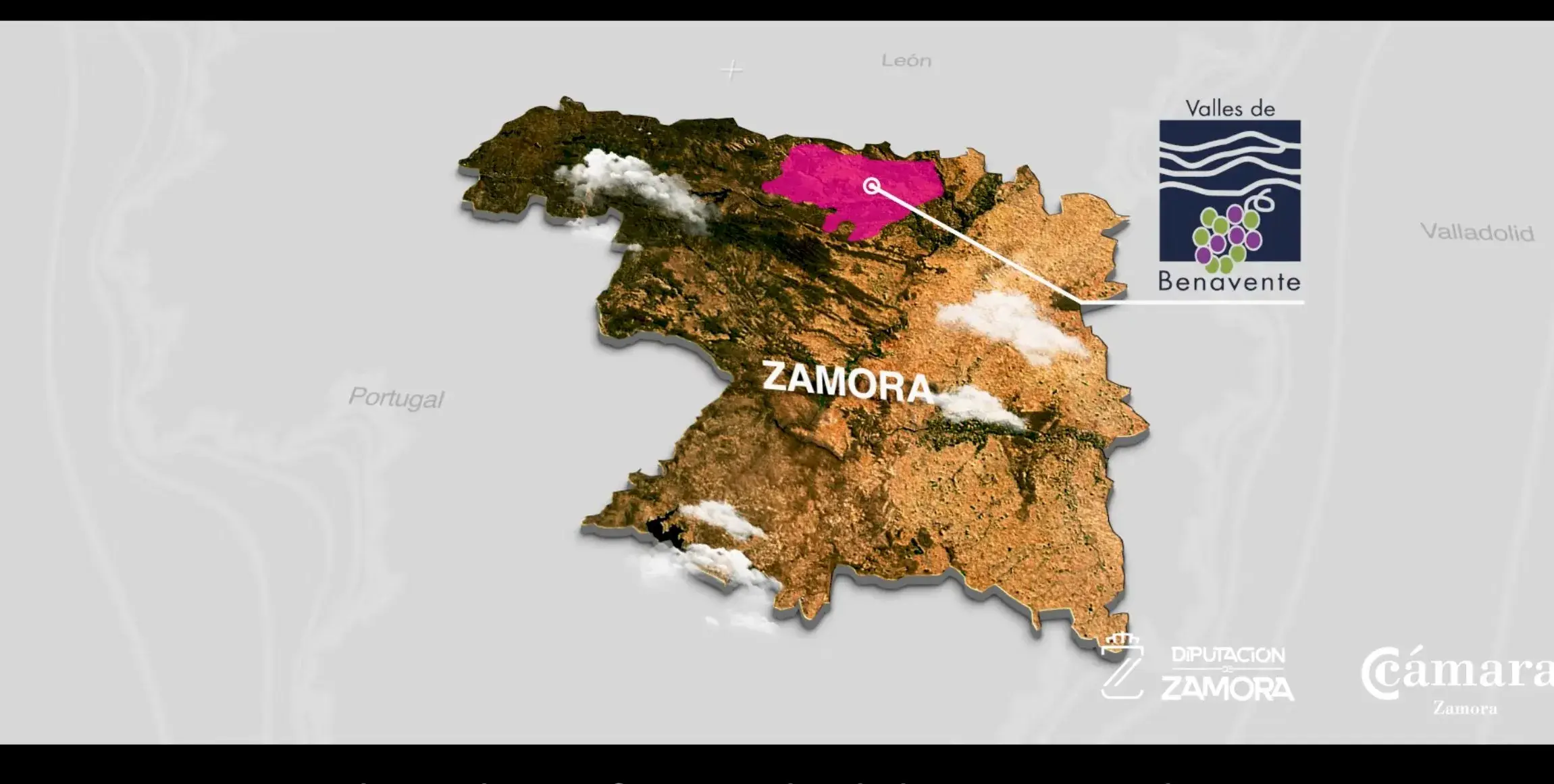 Vinos DOP Valles de Benavente