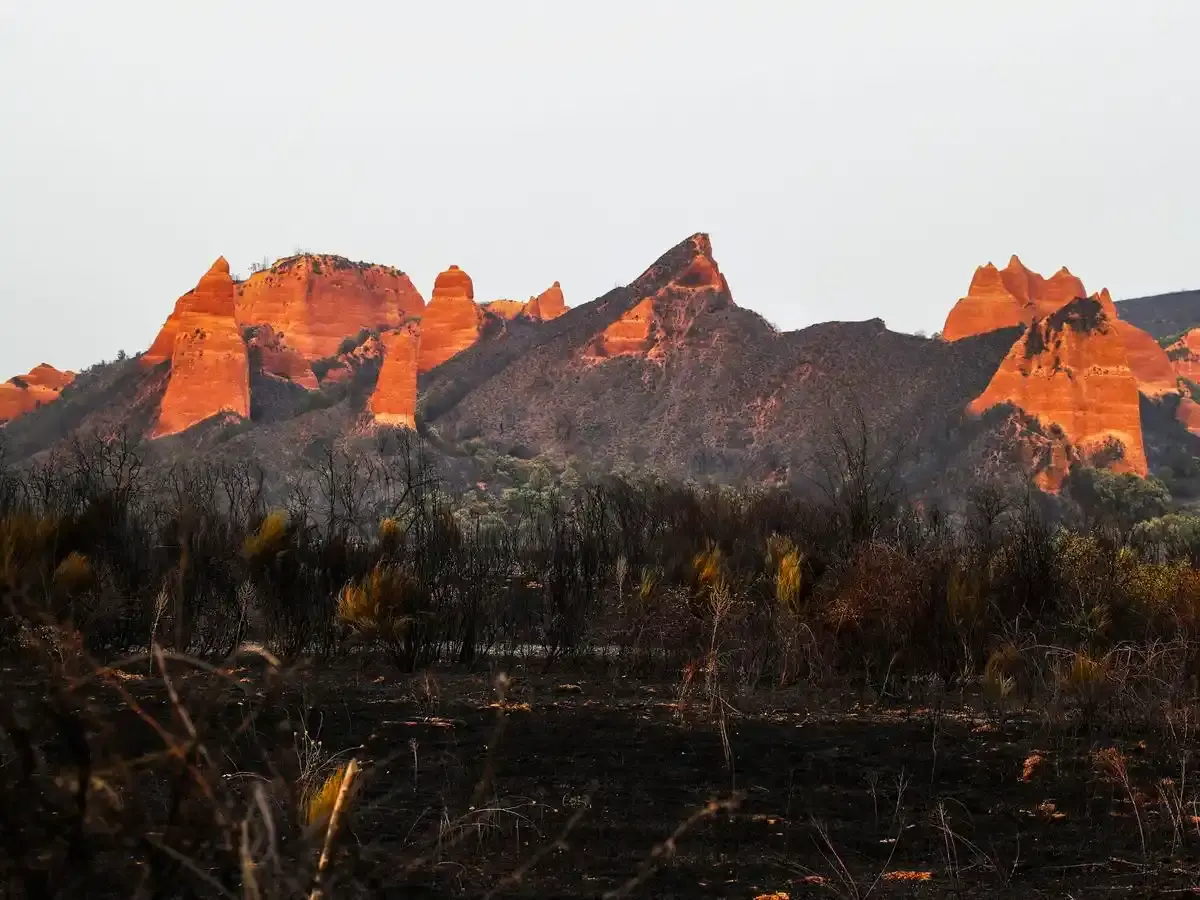La Junta echa a los voluntarios que iban a reforestar Las Médulas tras los incendios
