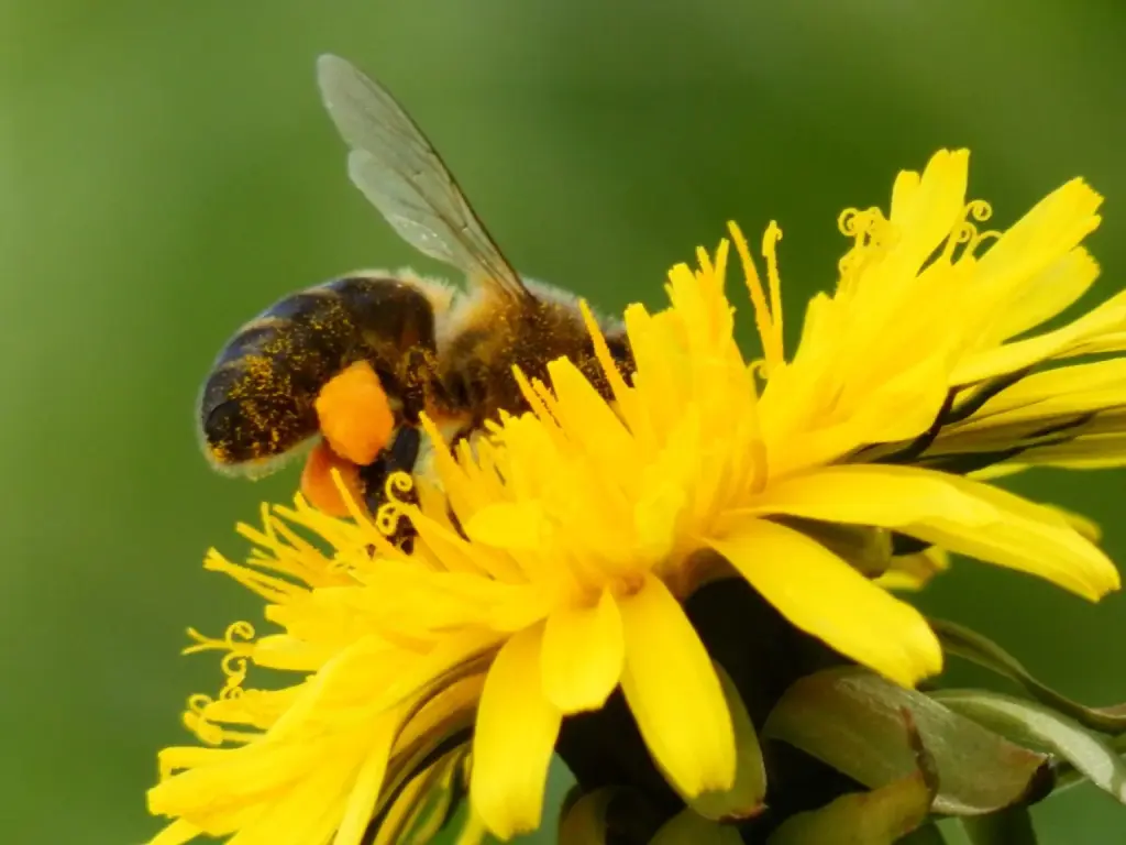 Imágenes del VI Concurso de fotografía de la Reserva de la Biosfera de los Ancares Leoneses