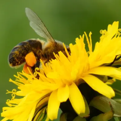 Imágenes del VI Concurso de fotografía de la Reserva de la Biosfera de los Ancares Leoneses