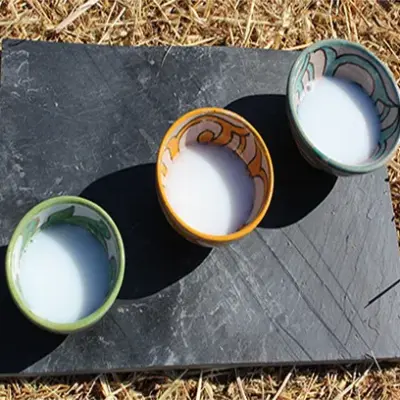 Buleza: la cooperativa zamorana que apuesta por la leche de burra Zamorano-Leonesa