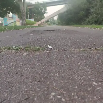 El lamentable estado del ciclocarril en León