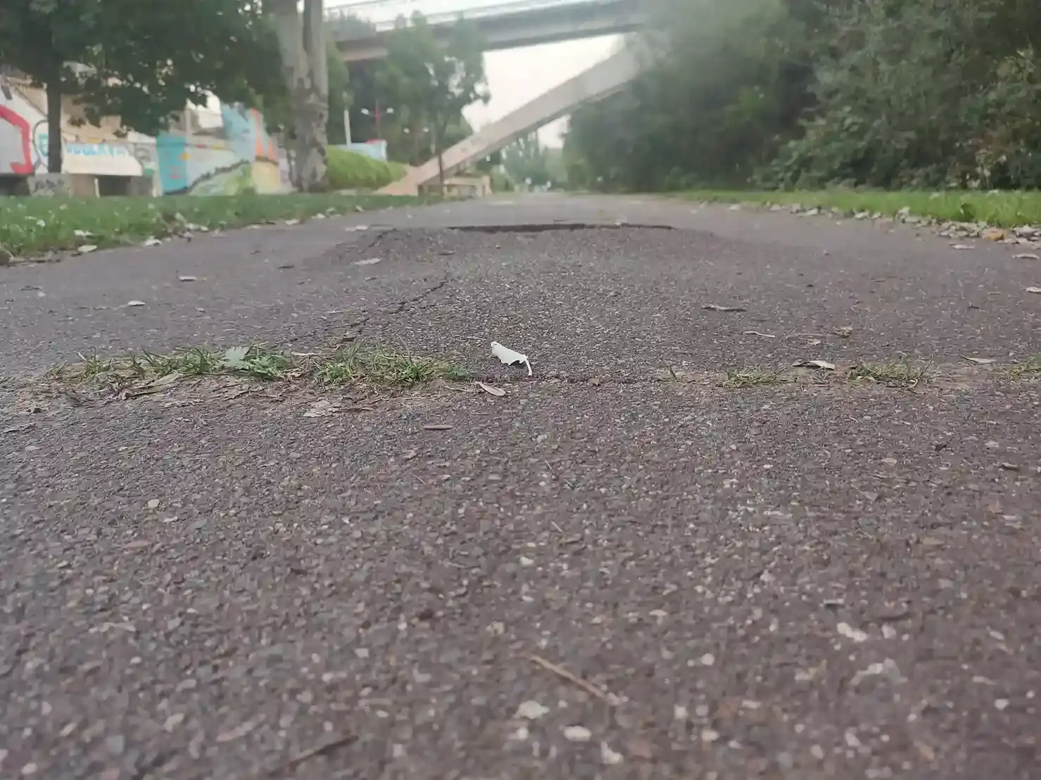 El lamentable estado del ciclocarril en León