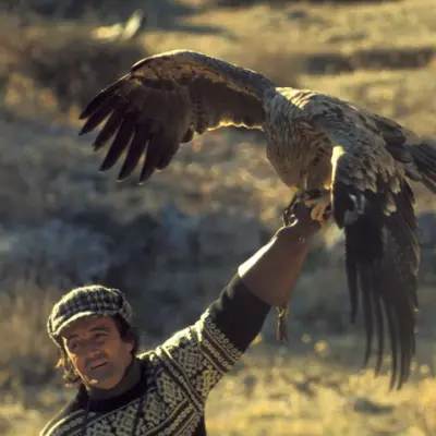 La cetrería en el Reino de León