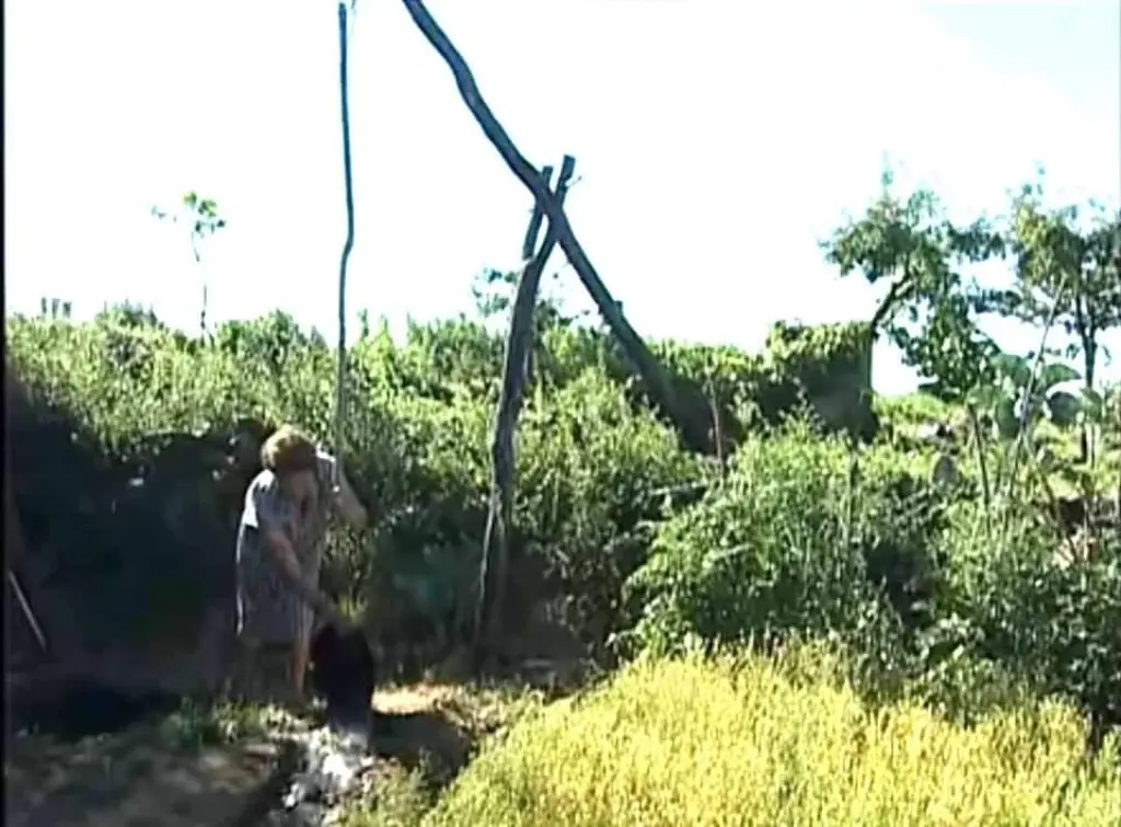 El cigüeño o cigoñal, métodos de riego.