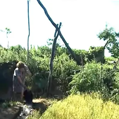 El cigüeño o cigoñal, métodos de riego.