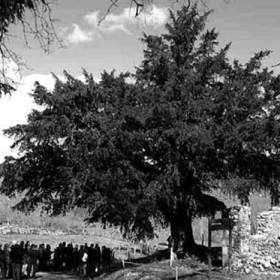 ¿Qué son los concejos leoneses?