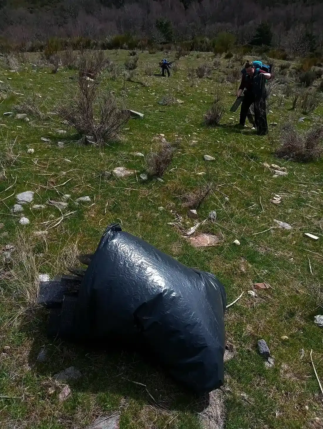 criosanabria-primavera-26 (4)