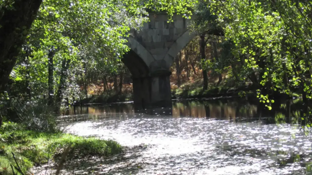 Interferencias lingüisticas y culturales en EI Rebollar