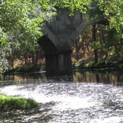 Interferencias lingüisticas y culturales en EI Rebollar