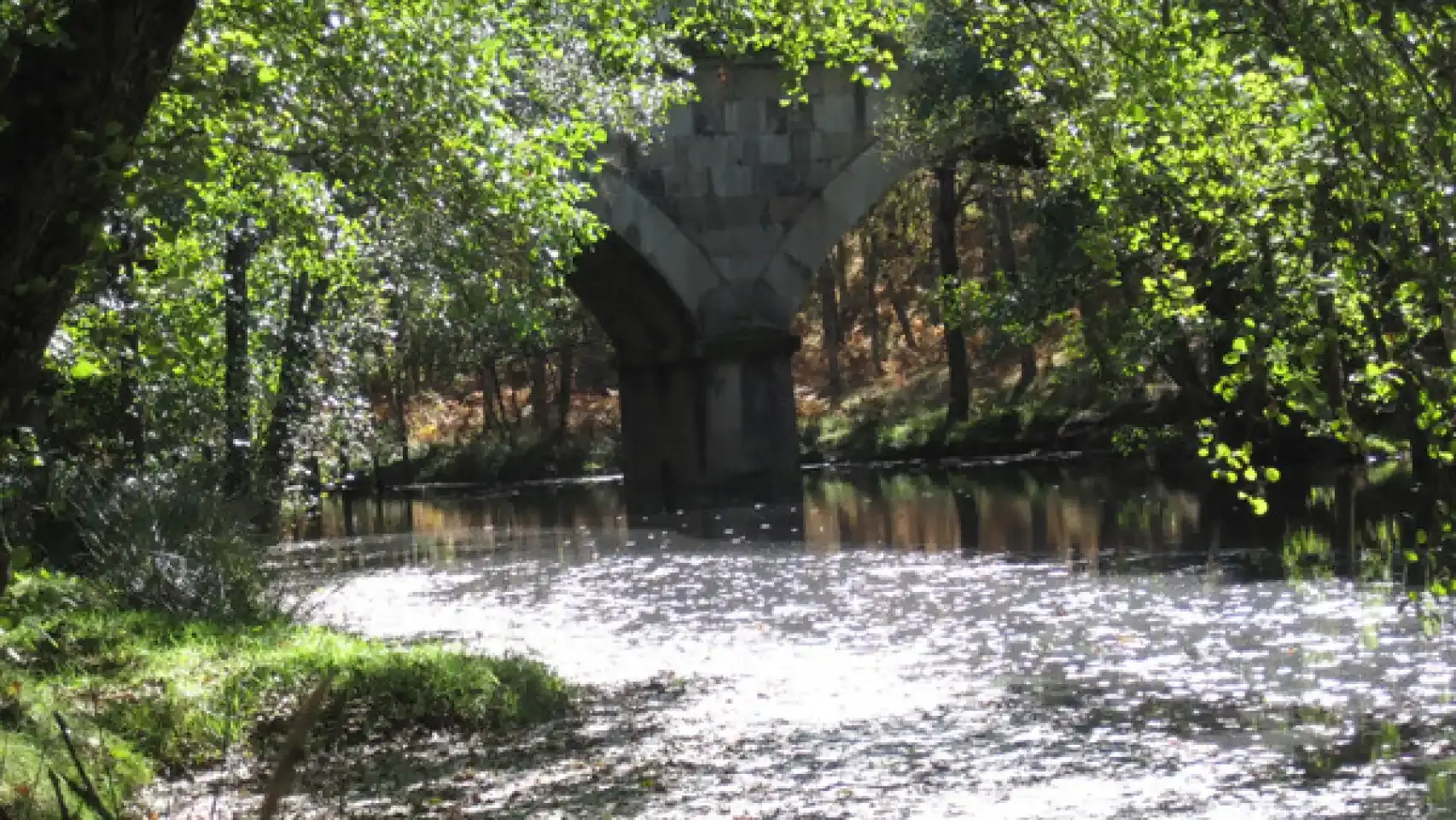 Interferencias lingüisticas y culturales en EI Rebollar