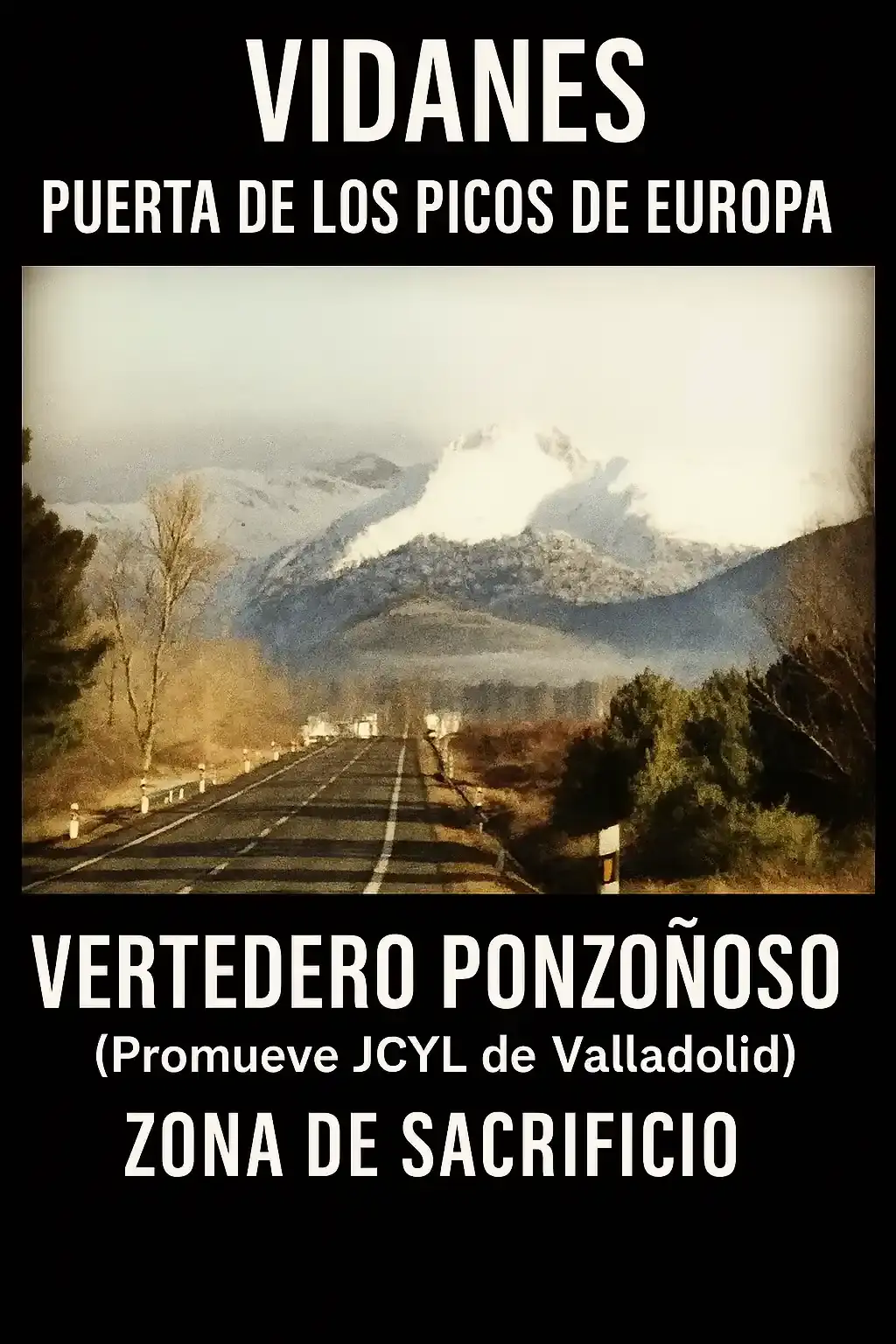 eslavida-vidanes-ene-2026 (4)