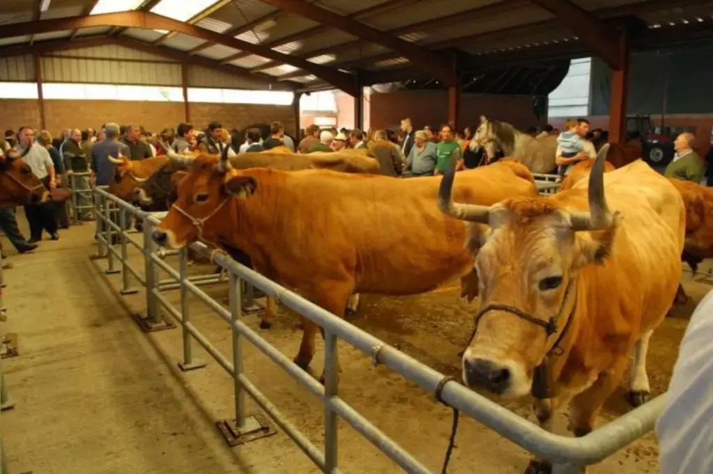 La feriona de Villablino
