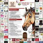 IV Feria del caballo de Bañobárez