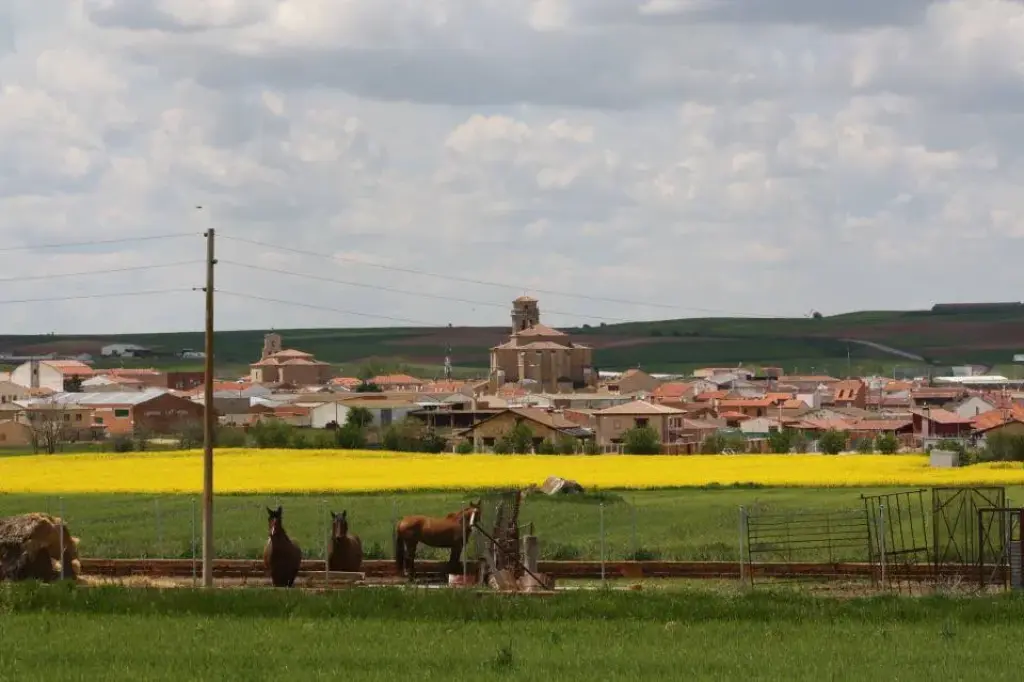 ¿De dónde proviene el nombre La Guareña?