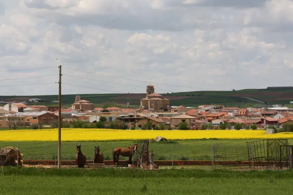 ¿De dónde proviene el nombre La Guareña?