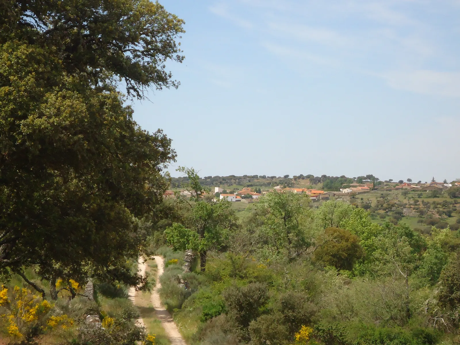 Vista desde el camino de Ledesma