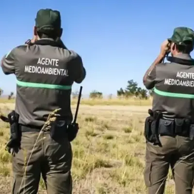 Guardianes del monte: el oficio forestal en tierras leonesas