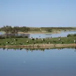 La asociación Criosanabria celebra el Día de los humedales