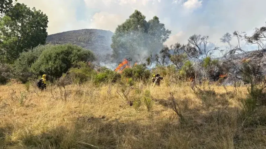Otra víctima en los incendios: tragedia en Veguellina de Órbigo