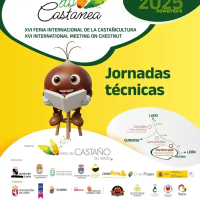XVI Biocastanea. Feria de la Castaña del Bierzo