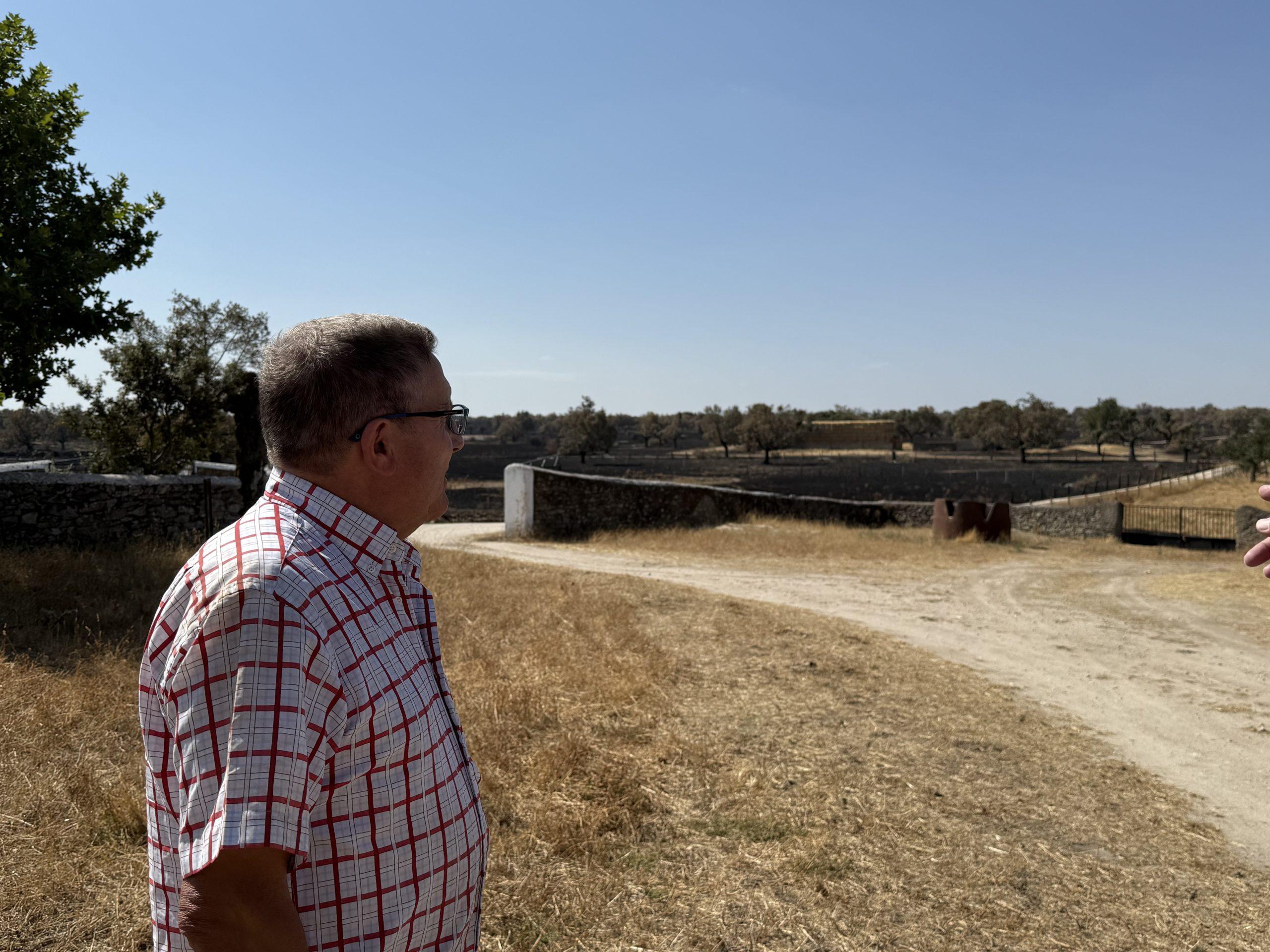 Milagro en Gejo de los Reyes: el forraje que resistió al incendio y alimenta a 500 vacas